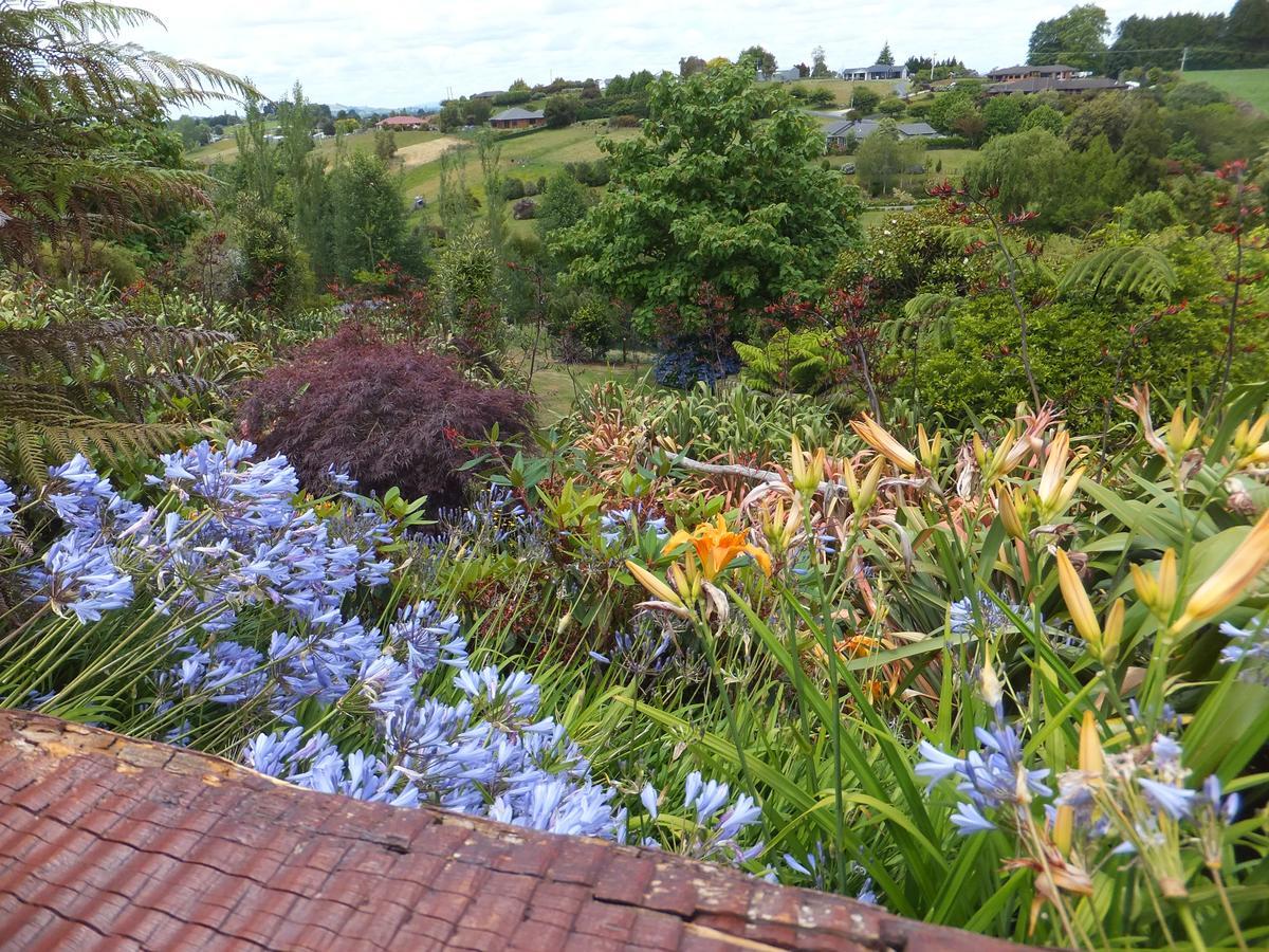 Waitomo Golfstays B&B Otorohanga Zewnętrze zdjęcie